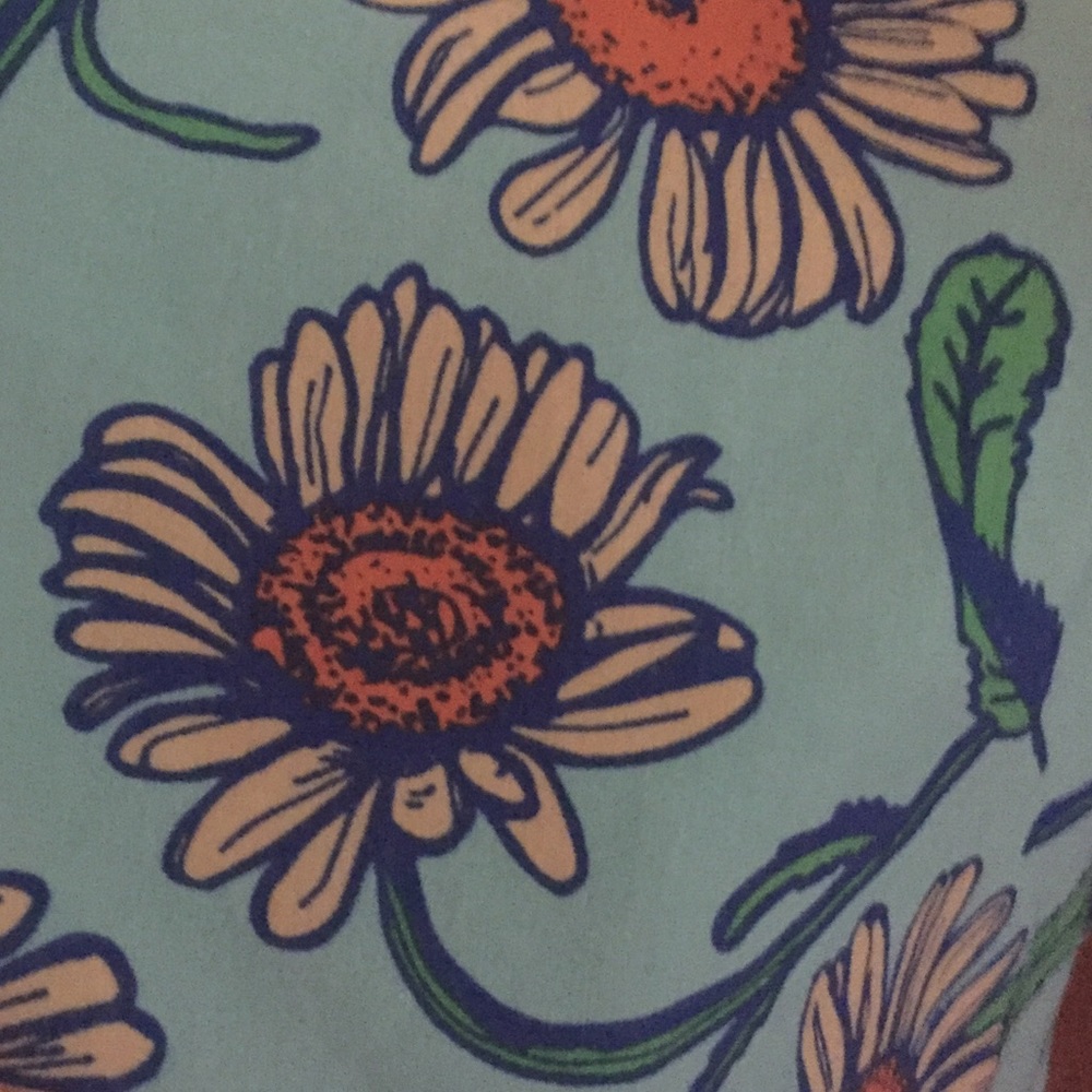 Lularoe XL Maxi Skirt! Beautiful! A must have!🌼🌼 - Picture 4 of 5